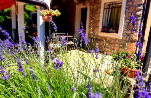 Zurkovo Apartamento | Apartman Pelcic,with WiFi and free parking