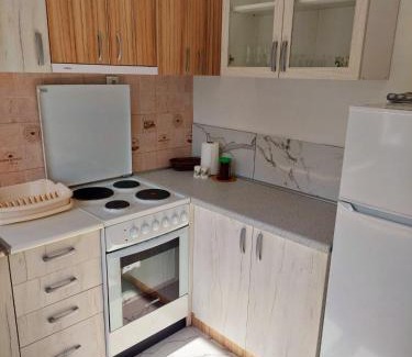 Bajina Basta Apartamento | Apartman Ploče