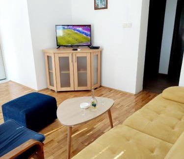 Bajina Basta Apartamento | Apartman Ploče