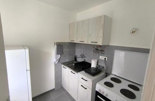 Ivanjica Apartamento | Apartman Removic