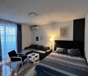 Vranje Apartamento | Apartman RISTIC