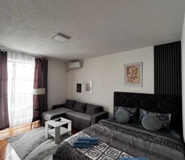 Vranje Apartamento | Apartman RISTIC
