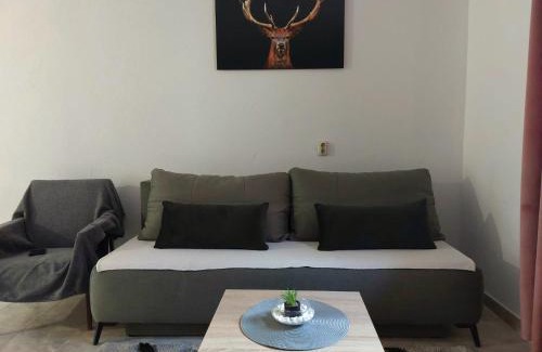 Perusic Apartamento | Apartman Rita