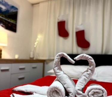 Delnice Apartamento | Apartman Ružić