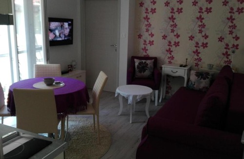Tomicici Apartamento | Apartman Samardzic