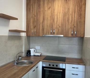 Banja Koviljaca Apartamento | Apartman “Sana”
