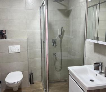 Banja Koviljaca Apartamento | Apartman “Sana”