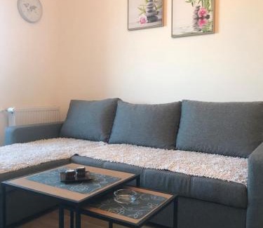 Banja Koviljaca Apartamento | Apartman Sanja
