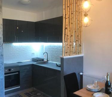 Banja Koviljaca Apartamento | Apartman Sanja