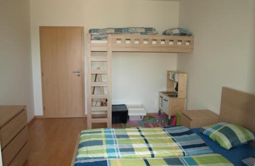 Vrchlabi Apartamento | Apartman Self check in/out Vrchlabi