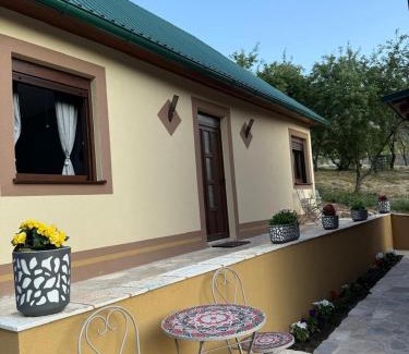 Pluzine Apartamento | Apartman Smaragd Lux