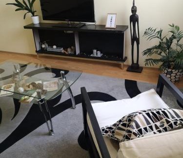 Zajecar Apartamento | Apartman Stanimirović