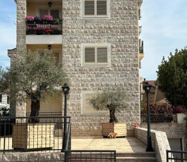 Tomicici Apartamento | Apartman Tara