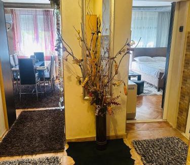 Valjevo Apartamento | Apartman Valjevo DK