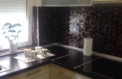 Banja Koviljaca Apartamento | Apartman Vanja
