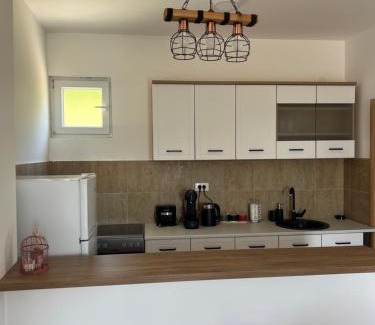 Prijevor Apartamento | Apartman Vaso