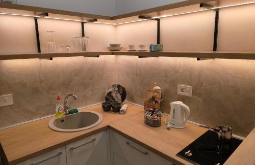 Surcin Apartamento | Apartman Viktor