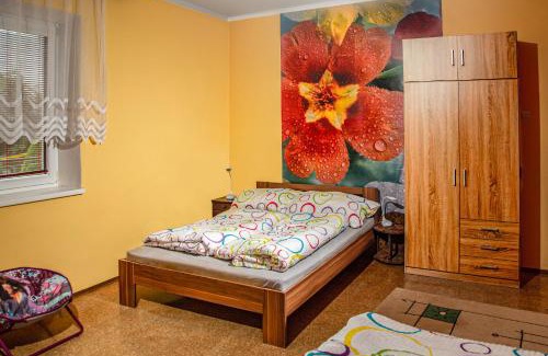 Pribylina Apartamento | Apartman ViVi Pribylina