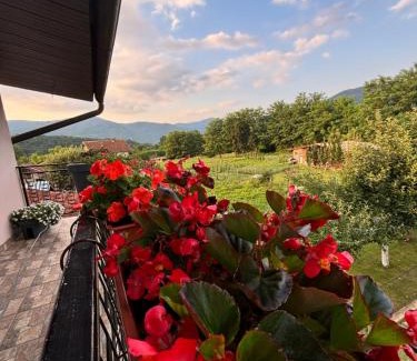 Bajina Basta Apartamento | Apartman Zlatija