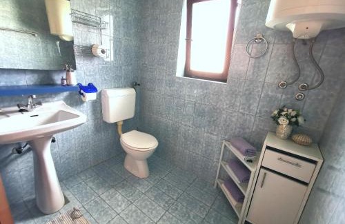 Pjescana Uvala Apartamento | Apartmani Andrea