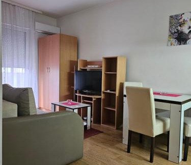 Loznica Apartamento | Apartmani Borko 3-2