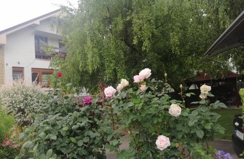 Vrdnik Apartamento | Apartmani Breza