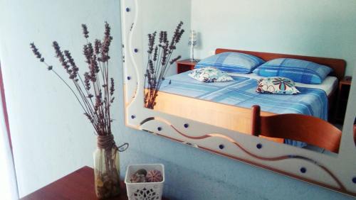 Veliki Drvenik Apartamento | Apartmani Conar