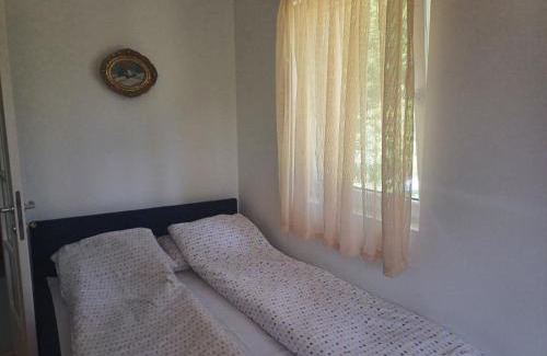 Tara National Park Apartamento | Apartmani Dobrinka i Zorka