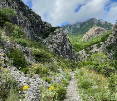 Karuc Apartamento | Apartmani Dumezic