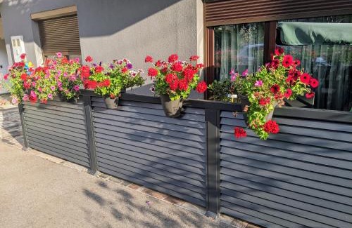 Mali Radic Apartamento | Apartmani Hrastik 1