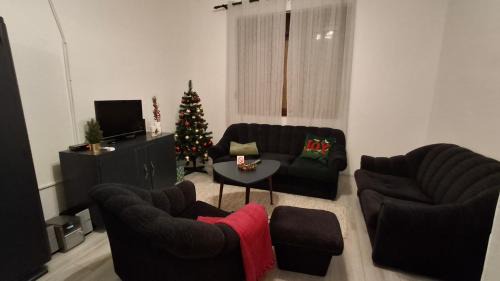 Novi Becej Apartamento | Apartmani Komoč