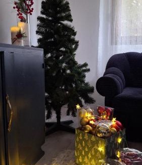 Novi Becej Apartamento | Apartmani Komoč