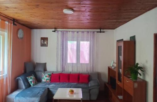 Pluzine Apartamento | Apartmani Lazić