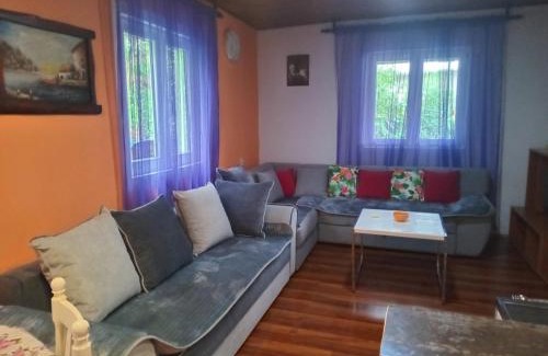 Pluzine Apartamento | Apartmani Lazić