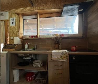 Stara Planina Apartamento | Apartmani Manojlović