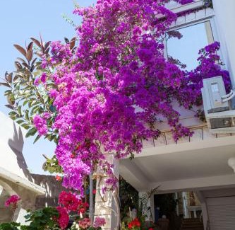 Zavalatica Apartamento | Apartmani Marelic - Sun Beach