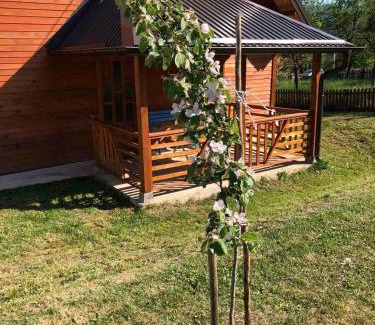 Mokra Gora Apartamento | Apartmani Milekić