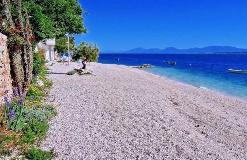 Zivogosce Apartamento | APARTMANI NOVA