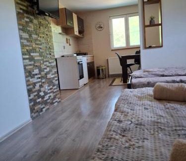 Mokra Gora Apartamento | Apartmani Petar