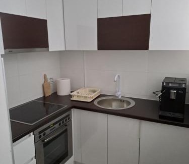 Banja Koviljaca Apartamento | Apartmani Počuča