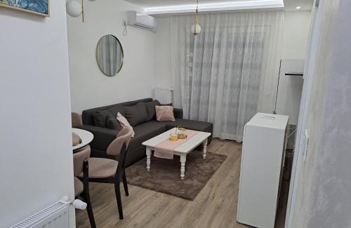 Banja Koviljaca Apartamento | Apartmani Počuča