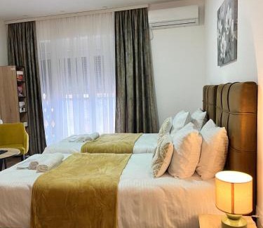 Valjevo Apartamento | Apartmani Profesional Pajkovic
