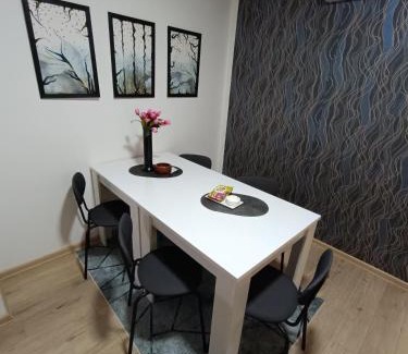 Kraljevo Apartamento | Apartmani S - DSN