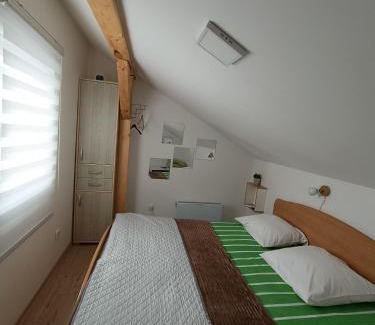 Kraljevo Apartamento | Apartmani S - DSN