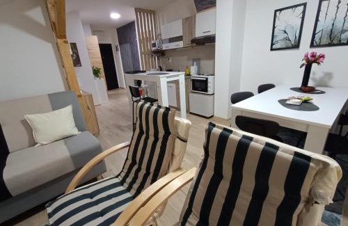 Kraljevo Apartamento | Apartmani S - DSN
