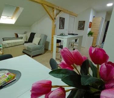 Kraljevo Apartamento | Apartmani S - DSN