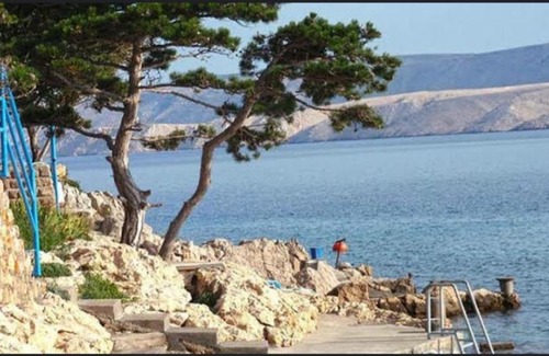 Karlobag Apartamento | Apartmani Sara Marija
