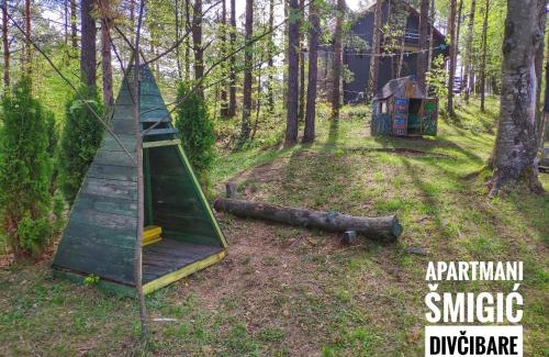 Divcibare Cabina | Apartmani Smigic Divcibare