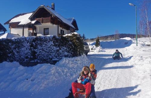 Mitrovac Apartamento | Apartmani Suncani breg Tara