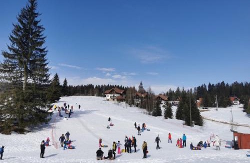 Mitrovac Apartamento | Apartmani Suncani breg Tara